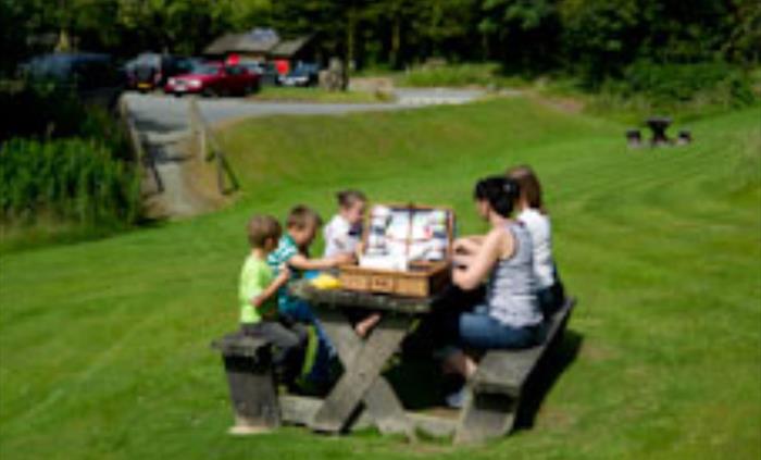 Picnic area